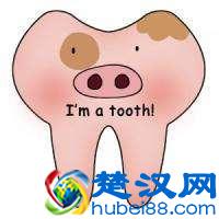 人有多少颗牙齿？牙齿的数量会影响运势吗？