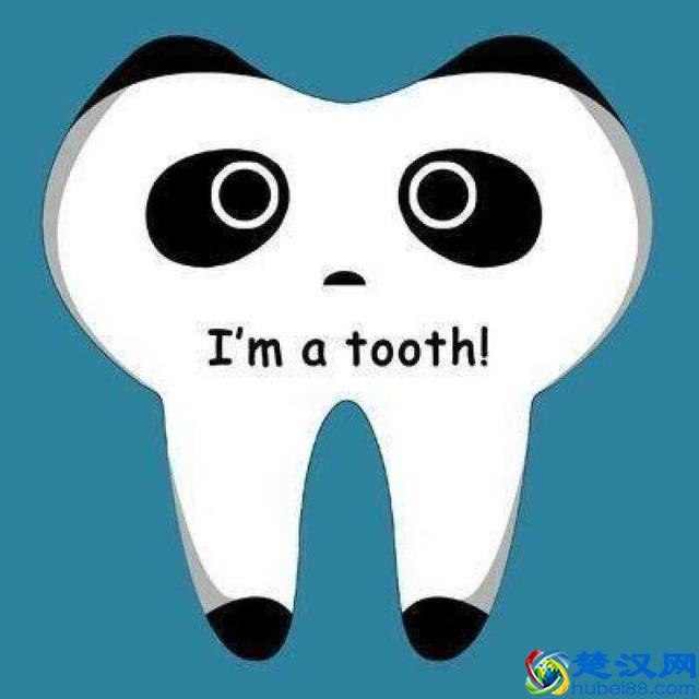 人有多少颗牙齿？牙齿的数量会影响运势吗？