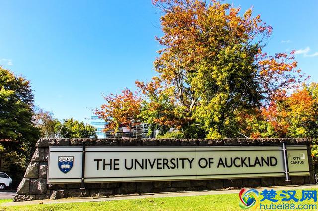 新西兰世界排名前一百的大学——奥克兰大学
