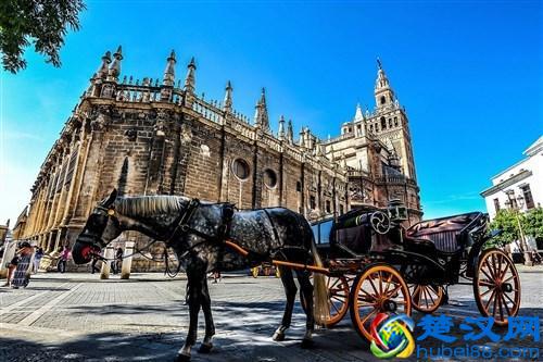 西班牙留学院校推荐：塞维利亚大学