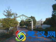 日本国立大学之一——“静冈大学”