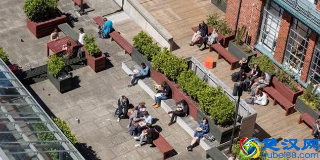 新西兰惠灵顿维多利亚大学世界排名及优势专业