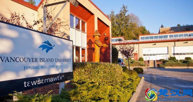 为什么选择温哥华岛大学？别问啦，理由都在这！