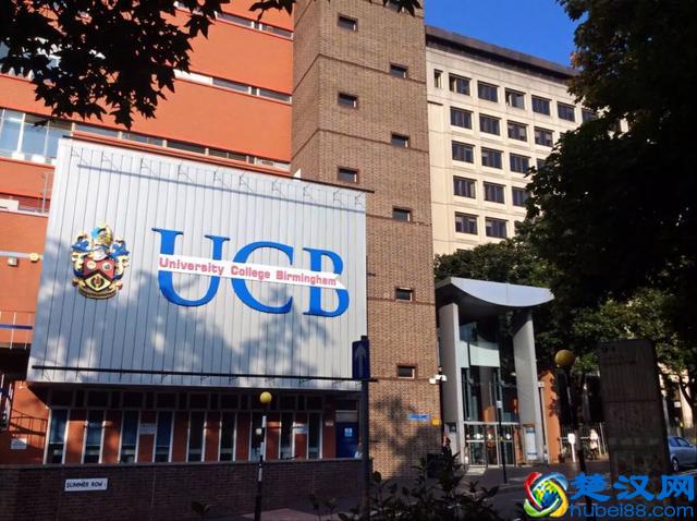 公立丨伯明翰大学学院