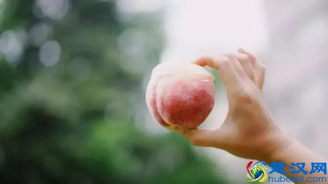 你以为是奶茶？结果是冰淇淋，4款网红冰淇淋，总有一款惊艳到你