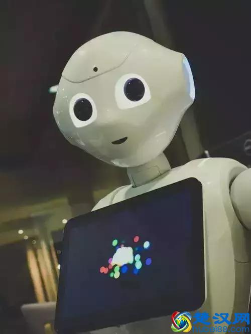 志愿填报：近两年哪些大学哪些专业是热门