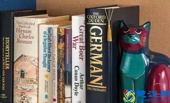 志愿填报：近两年哪些大学哪些专业是热门