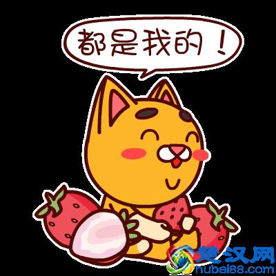 米芝莲哪款最好吃？你看小犀的测评就知道了