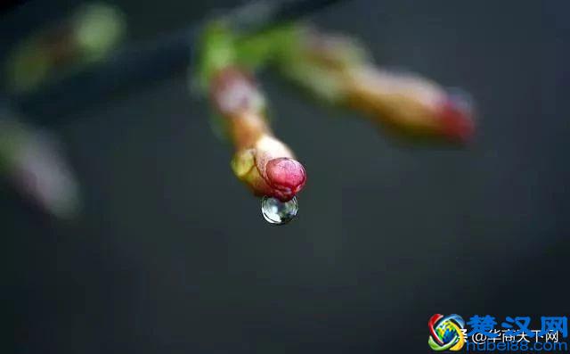 二十四节气，是中国人独有的春夏秋冬