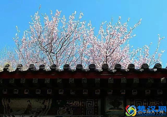 二十四节气，是中国人独有的春夏秋冬