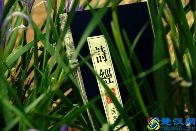 《诗经》三百多篇，可用三个字概括之