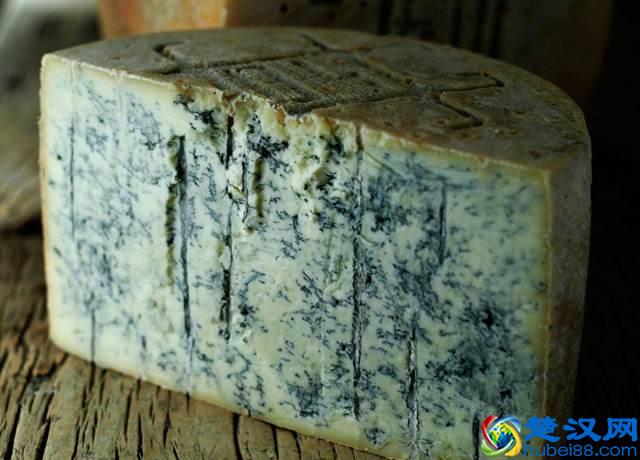 餐桌上越来越常见的奶酪，你了解多少