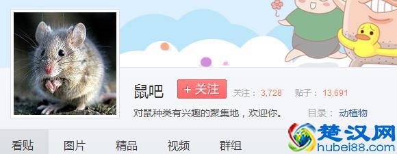 百度为什么叫度娘不叫度哥？