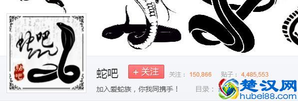 百度为什么叫度娘不叫度哥？