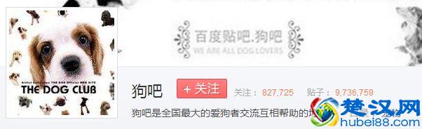 百度为什么叫度娘不叫度哥？