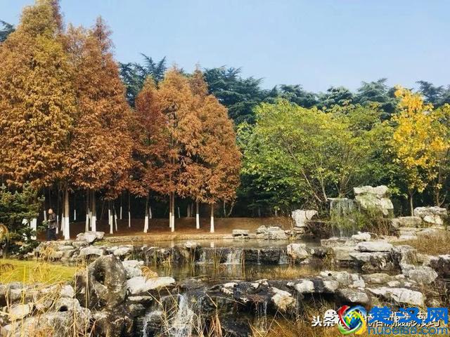 照片容易产生“歧义”的四种情况，你中了吗？