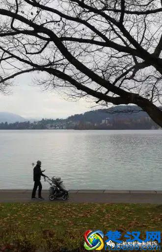 照片容易产生“歧义”的四种情况，你中了吗？