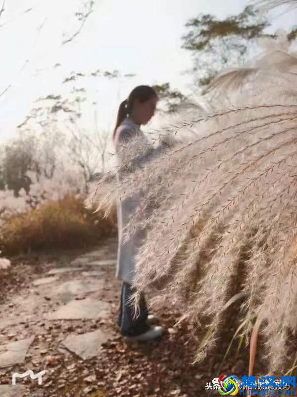 照片容易产生“歧义”的四种情况，你中了吗？