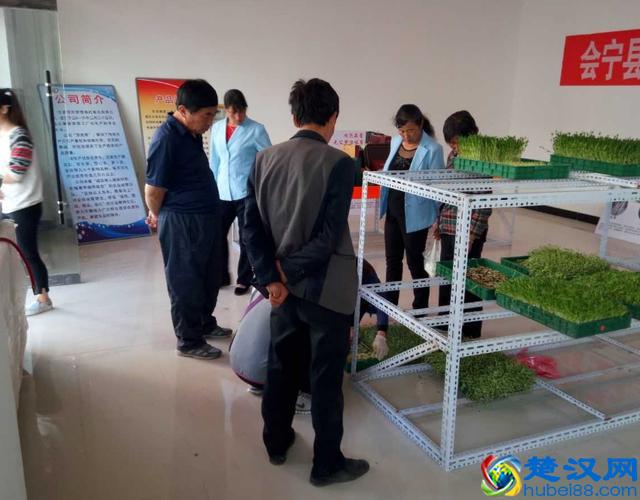 国家扶持的农村创业项目有哪些？这些可以拿去参考