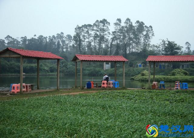 国家扶持的农村创业项目有哪些？这些可以拿去参考