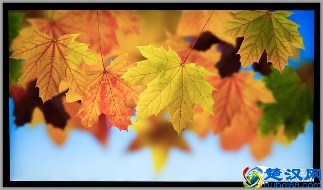 小米电视4 75英寸值得买吗 深度体验评测告诉你