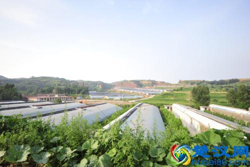 农产品滞销深层次的原因是什么？我们能帮多少