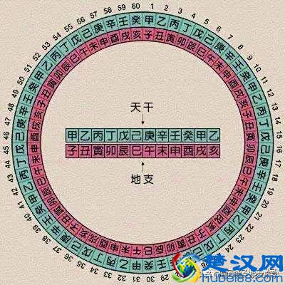 说文解字：“甲、乙、丙、丁、戊、己、庚、辛、壬、癸”