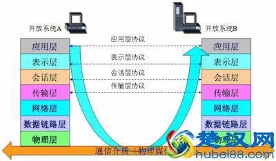 网络协议是什么