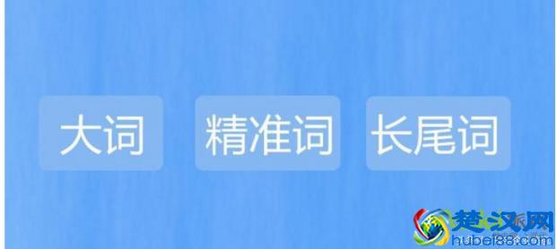 淘宝直通车如何合理运用大词、精准词、长尾词的必备知识！