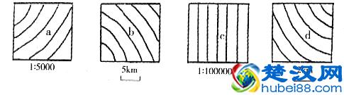 关于比例尺的几种题型及解析
