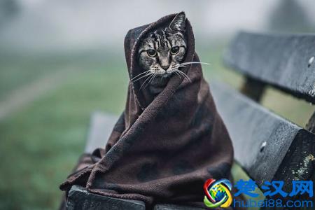 快来看看让你成为月光族的原因是什么呢