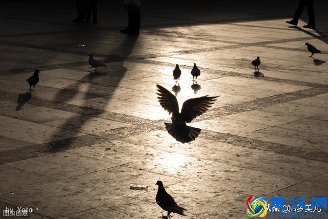 有一种心情，叫无可奈何