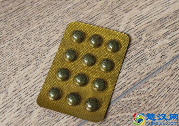 冬眠实操小技巧，让乌龟安全越冬