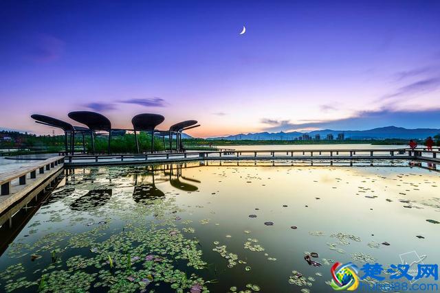 孟浩然的一首诗，告诉你什么是惬意的夏日夜晚？