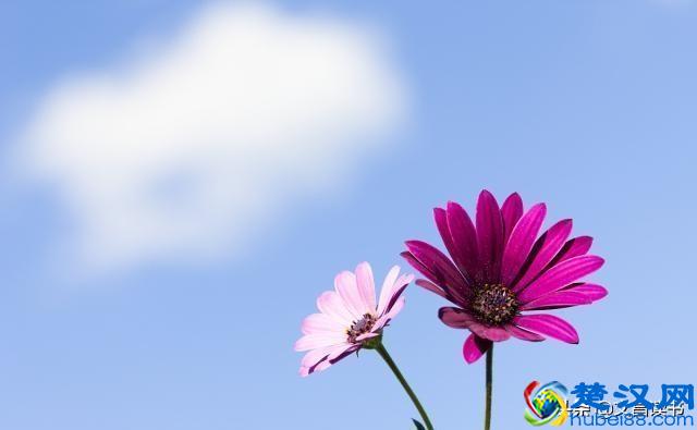 人生中最经典的一句话，一字千金，醍醐灌顶