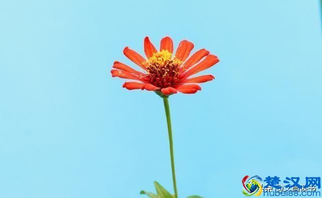 人生中最经典的一句话，一字千金，醍醐灌顶