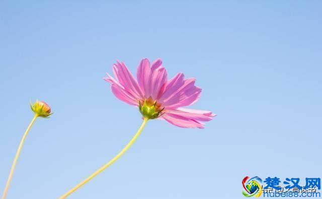 人生中最经典的一句话，一字千金，醍醐灌顶