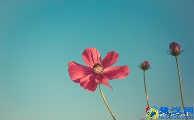 人生中最经典的一句话，一字千金，醍醐灌顶