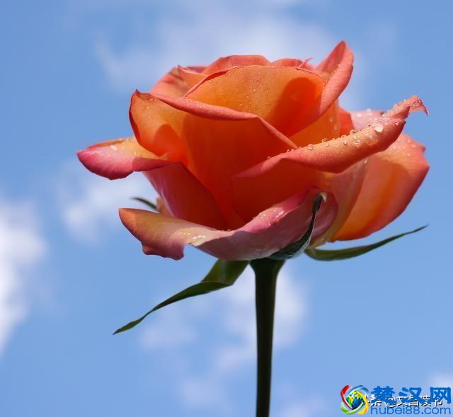 人生中最经典的一句话，一字千金，醍醐灌顶