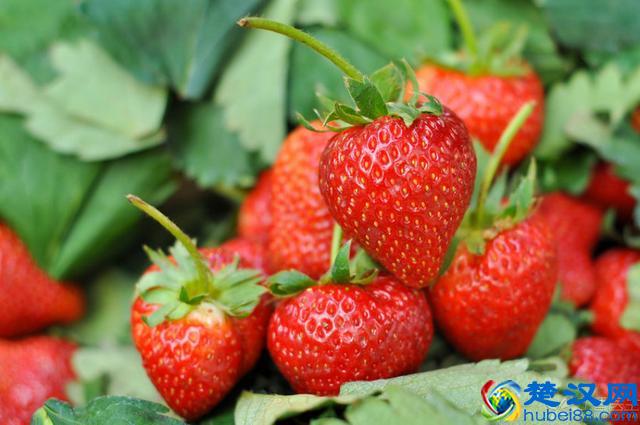 毛孔粗大怎么办？皮肤科医生给你出几招