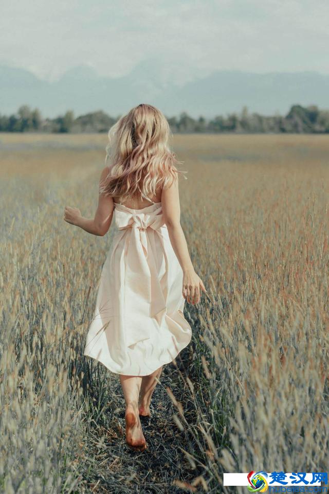 什么是主句和从句，什么是单句和复句，本文让你轻松掌握！