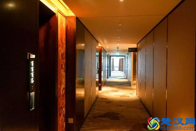 「思远说酒店」中规中矩——常德武陵天济喜来登