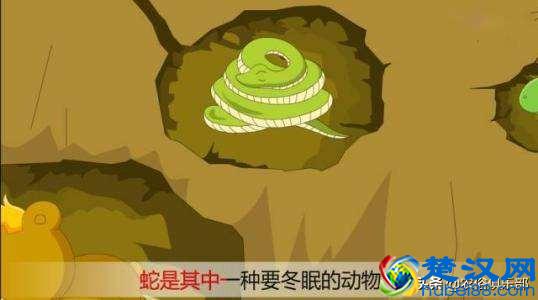 门前种上蛇怕草，毒蛇见了都会跑？农村这种植物，浑身都是倒刺