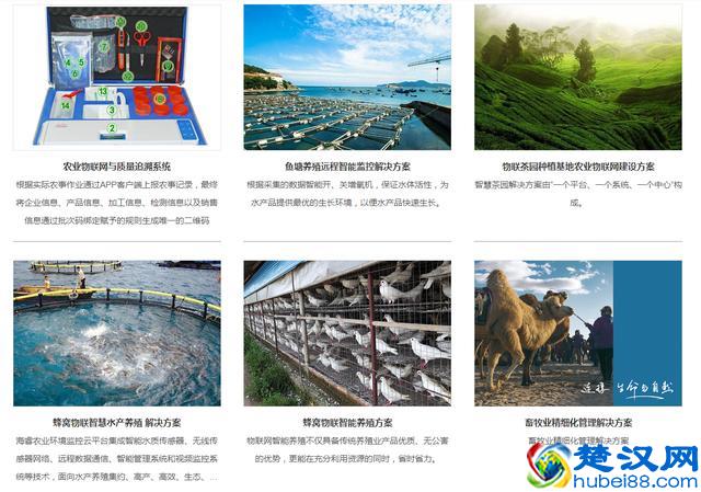 吉山数据提供html源码、网站模板、手机h5页面设计及网站定制开发