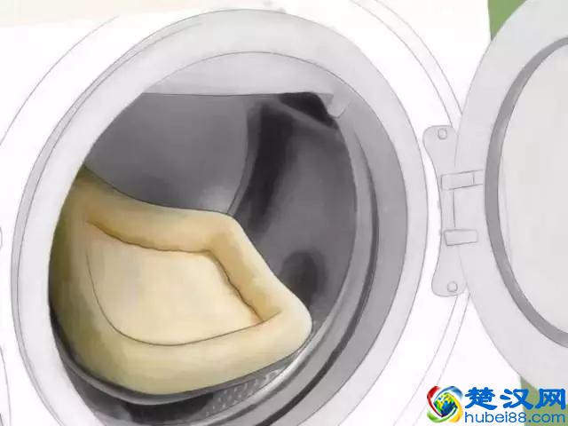 如果发现家中有跳蚤，只需这样做，跳蚤就通通不见了！