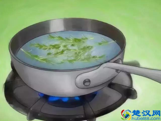 如果发现家中有跳蚤，只需这样做，跳蚤就通通不见了！