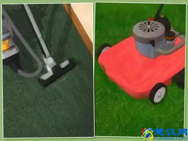 如果发现家中有跳蚤，只需这样做，跳蚤就通通不见了！