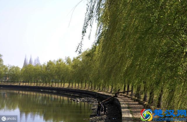 十首王安石的经典诗词，至少会背四首