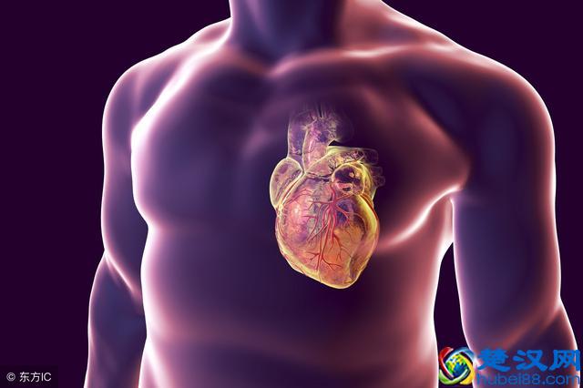 微量元素有什么作用？不同类型，作用也不同