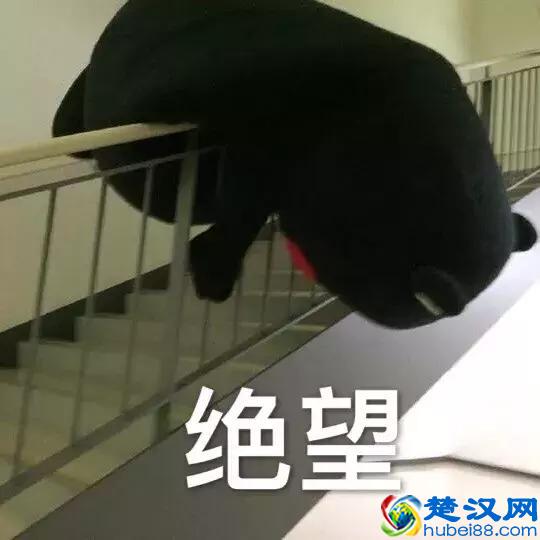 没想到！小学就开始用的QQ邮箱，竟然藏着这么多好功能！